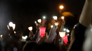 Florida State House Declares Porn Is a Health Risk, Assault Weapons Totally Fine Though